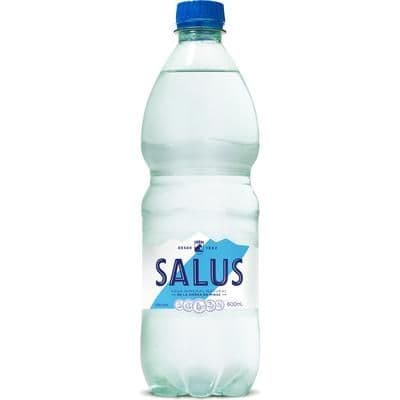 Imagen de Agua Salus Con Gas 600Ml